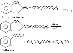 798_preparation of amino acids4.png